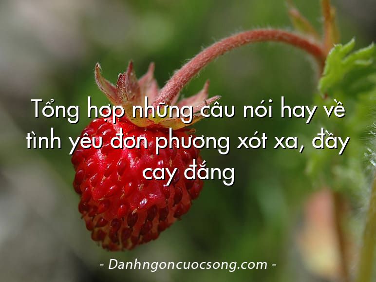 Tổng hợp những câu nói hay về tình yêu đơn phương xót xa, đầy cay đắng