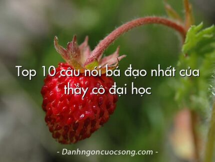 Top 10 câu nói bá đạo nhất của thầy cô đại học