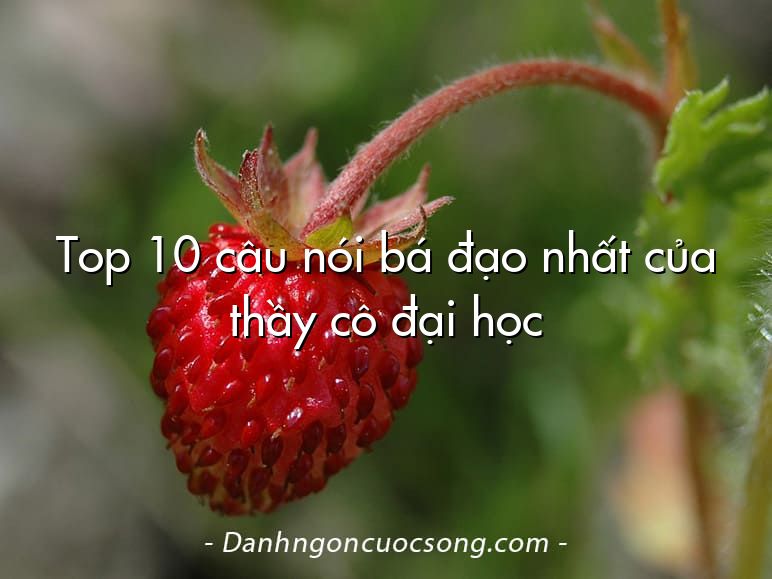 Top 10 câu nói bá đạo nhất của thầy cô đại học