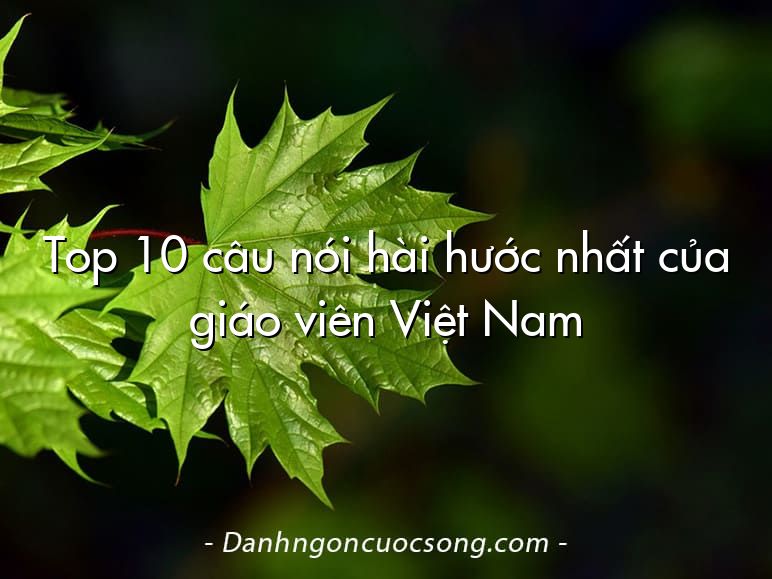 Top 10 câu nói hài hước nhất của giáo viên Việt Nam