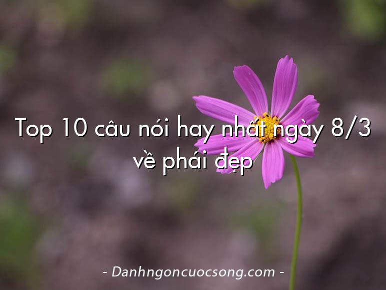 Top 10 câu nói hay nhất ngày 8/3 về phái đẹp