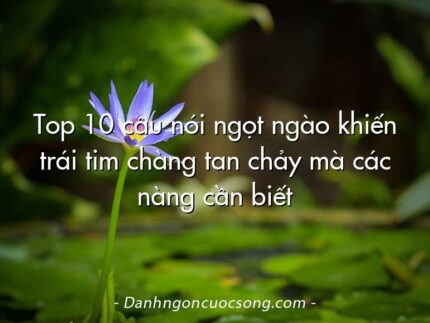 Top 10 câu nói ngọt ngào khiến trái tim chàng tan chảy mà các nàng cần biết