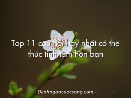 Top 11 câu nói hay nhất có thể thức tỉnh tâm hồn bạn