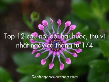 Top 12 câu nói dối hài hước, thú vị nhất ngày cá tháng tư 1/4