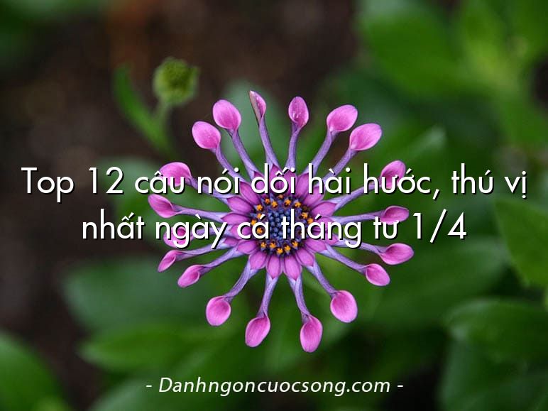 Top 12 câu nói dối hài hước, thú vị nhất ngày cá tháng tư 1/4