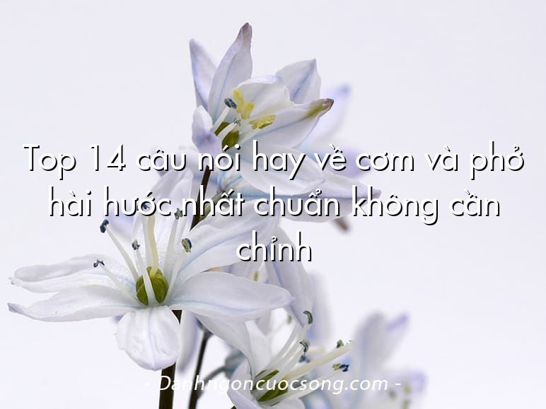Top 14 câu nói hay về cơm và phở hài hước nhất chuẩn không cần chỉnh