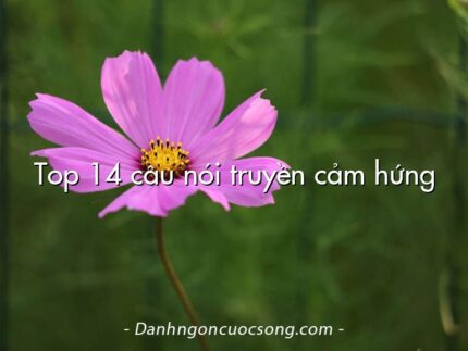 Top 14 câu nói truyền cảm hứng