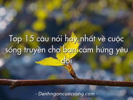 Top 15 câu nói hay nhất về cuộc sống truyền cho bạn cảm hứng yêu đời