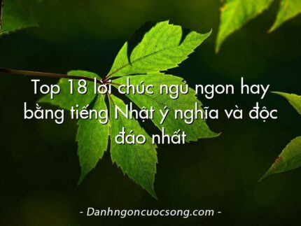 Top 18 lời chúc ngủ ngon hay bằng tiếng Nhật ý nghĩa và độc đáo nhất
