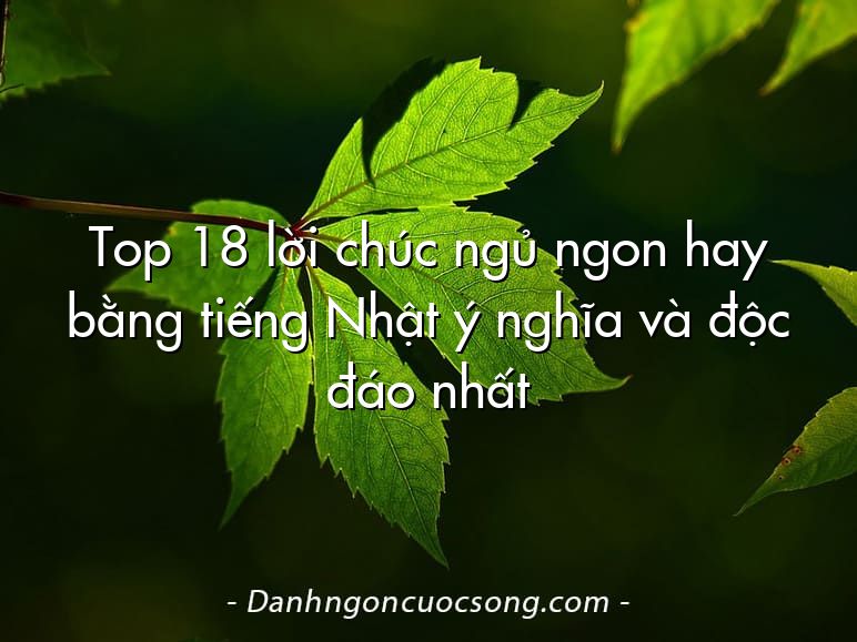 Top 18 lời chúc ngủ ngon hay bằng tiếng Nhật ý nghĩa và độc đáo nhất