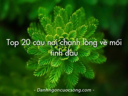 Top 20 câu nói chạnh lòng về mối tình đầu
