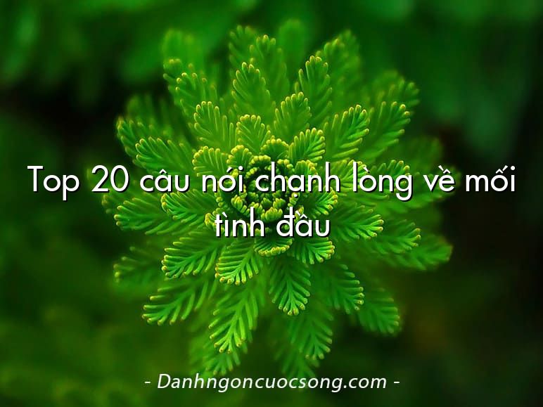 Top 20 câu nói chạnh lòng về mối tình đầu