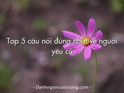 Top 5 câu nói đúng nhất về người yêu cũ