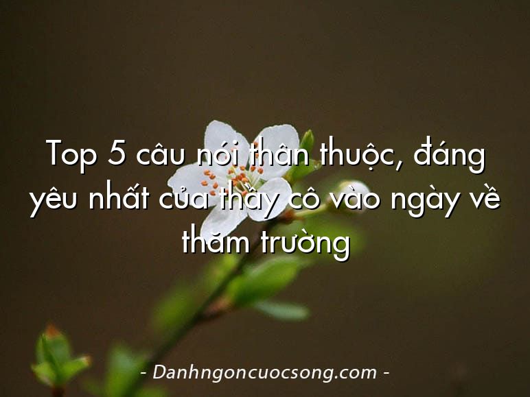 Top 5 câu nói thân thuộc, đáng yêu nhất của thầy cô vào ngày về thăm trường