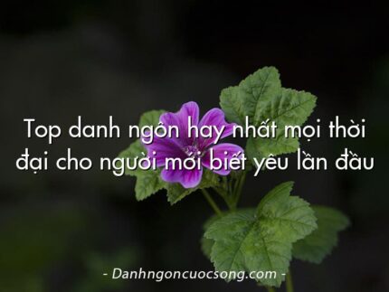 Top danh ngôn hay nhất mọi thời đại cho người mới biết yêu lần đầu