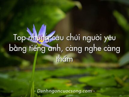 Top những câu chửi người yêu bằng tiếng anh, càng nghe càng thấm