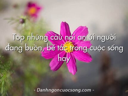 Top những câu nói an ủi người đang buồn, bế tắc trong cuộc sống hay