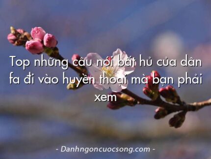 Top những câu nói bất hủ của dân fa đi vào huyền thoại mà bạn phải xem
