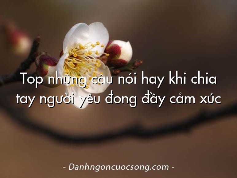 Top những câu nói hay khi chia tay người yêu đong đầy cảm xúc
