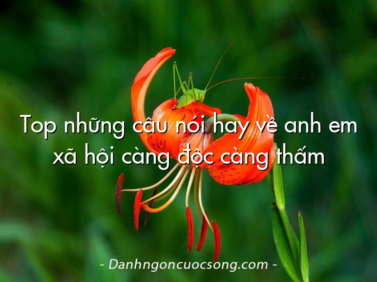 Top những câu nói hay về anh em xã hội càng độc càng thấm