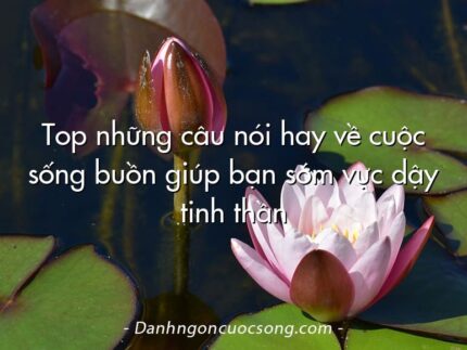 Top những câu nói hay về cuộc sống buồn giúp bạn sớm vực dậy tinh thần