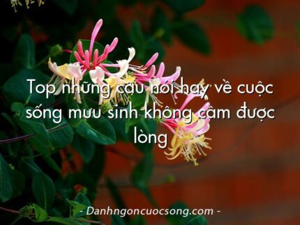 Top những câu nói hay về cuộc sống mưu sinh không cầm được lòng