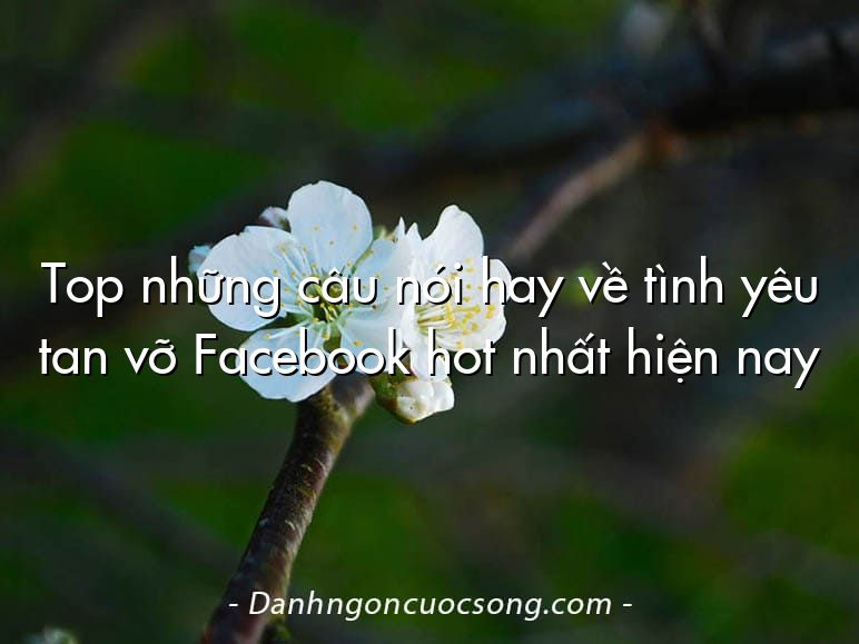 Top những câu nói hay về tình yêu tan vỡ Facebook hot nhất hiện nay