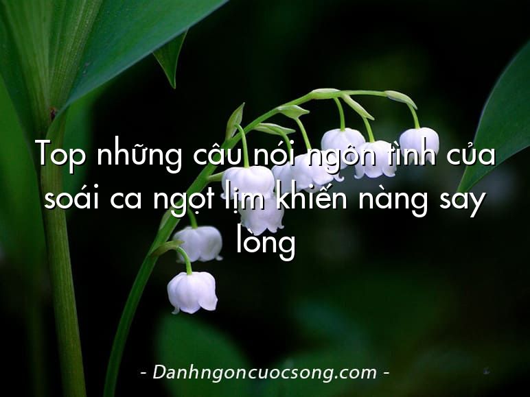Top những câu nói ngôn tình của soái ca ngọt lịm khiến nàng say lòng