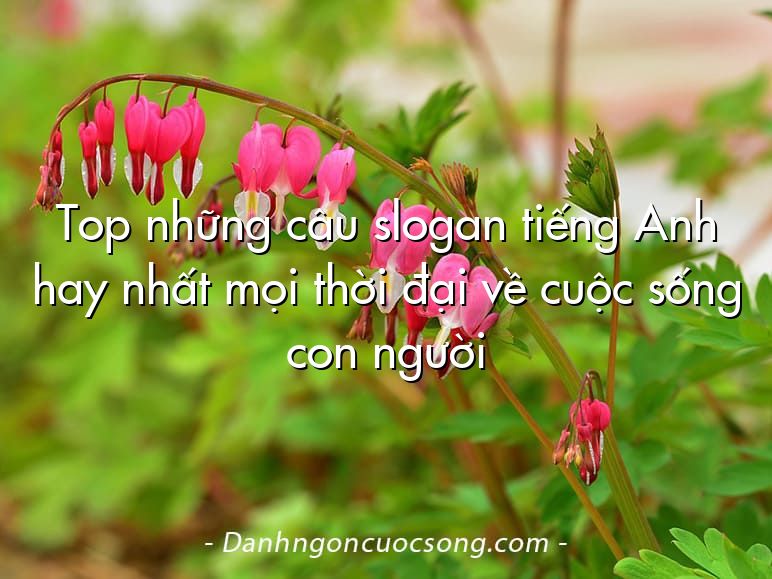 Top những câu slogan tiếng Anh hay nhất mọi thời đại về cuộc sống con người