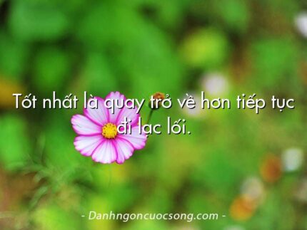 Tốt nhất là quay trở về hơn tiếp tục đi lạc lối.