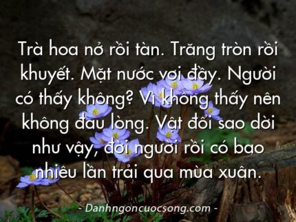 Trà hoa nở rồi tàn. Trăng tròn rồi khuyết. Mặt nước vơi đầy. Người có thấy không? Vì không thấy nên không đau lòng. Vật đổi sao dời như vậy, đời người rồi có bao nhiêu lần trải qua mùa xuân.