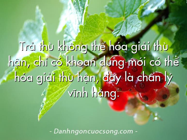Trả thù không thể hóa giải thù hận, chỉ có khoan dung mới có thể hóa giải thù hận, đây là chân lý vĩnh hằng.