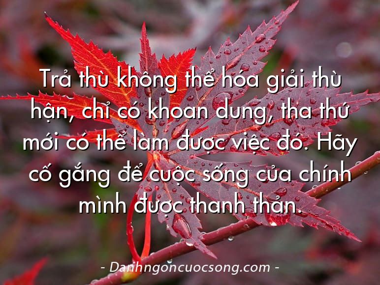 Trả thù không thể hóa giải thù hận, chỉ có khoan dung, tha thứ mới có thể làm được việc đó. Hãy cố gắng để cuộc sống của chính mình được thanh thản.