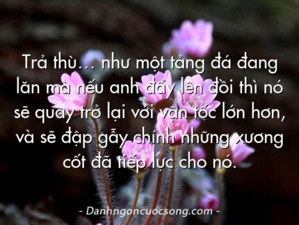 Trả thù… như một tảng đá đang lăn mà nếu anh đẩy lên đồi thì nó sẽ quay trở lại với vận tốc lớn hơn, và sẽ đập gẫy chính những xương cốt đã tiếp lực cho nó.
