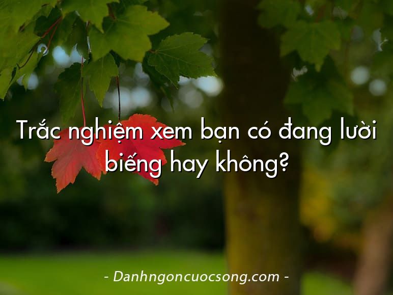 Trắc nghiệm xem bạn có đang lười biếng hay không?