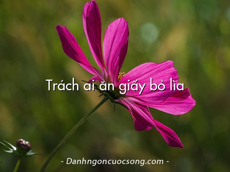 Trách ai ăn giấy bỏ lìa