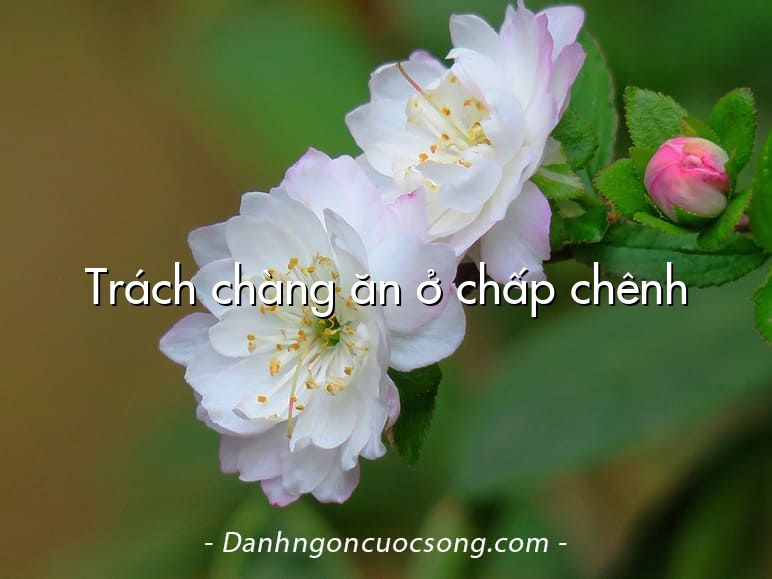 Trách chàng ăn ở chấp chênh