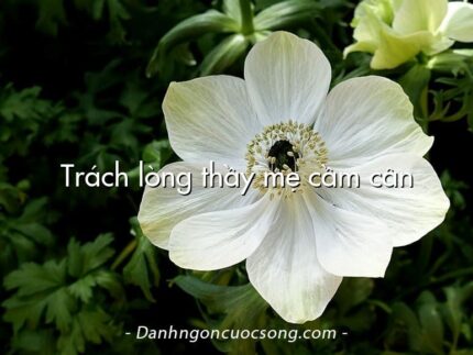 Trách lòng thầy mẹ cầm cân