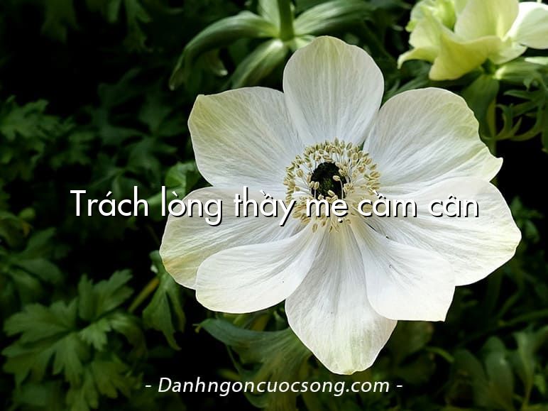 Trách lòng thầy mẹ cầm cân