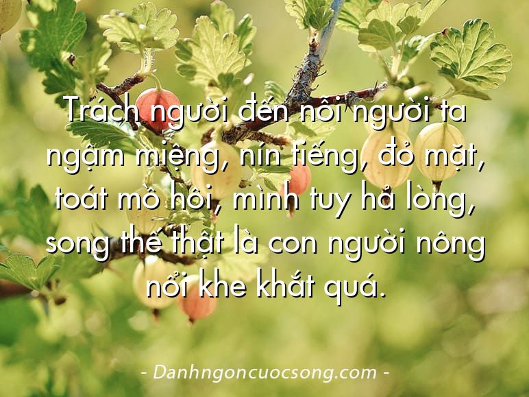 Trách người đến nỗi người ta ngậm miệng, nín tiếng, đỏ mặt, toát mồ hôi, mình tuy hả lòng, song thế thật là con người nông nổi khe khắt quá.