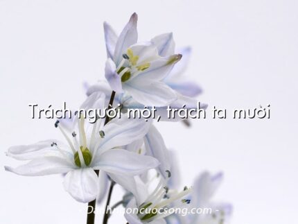 Trách người một, trách ta mười