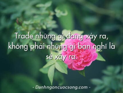 Trade những gì đang xảy ra, không phải những gì bạn nghĩ là sẽ xảy ra.