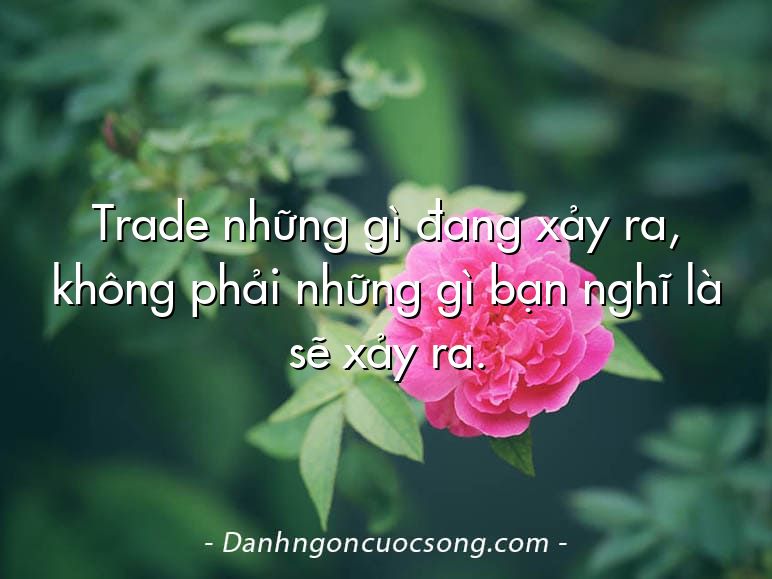 Trade những gì đang xảy ra, không phải những gì bạn nghĩ là sẽ xảy ra.