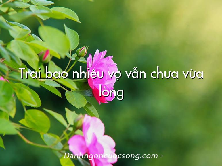Trai bao nhiêu vợ vẫn chưa vừa lòng