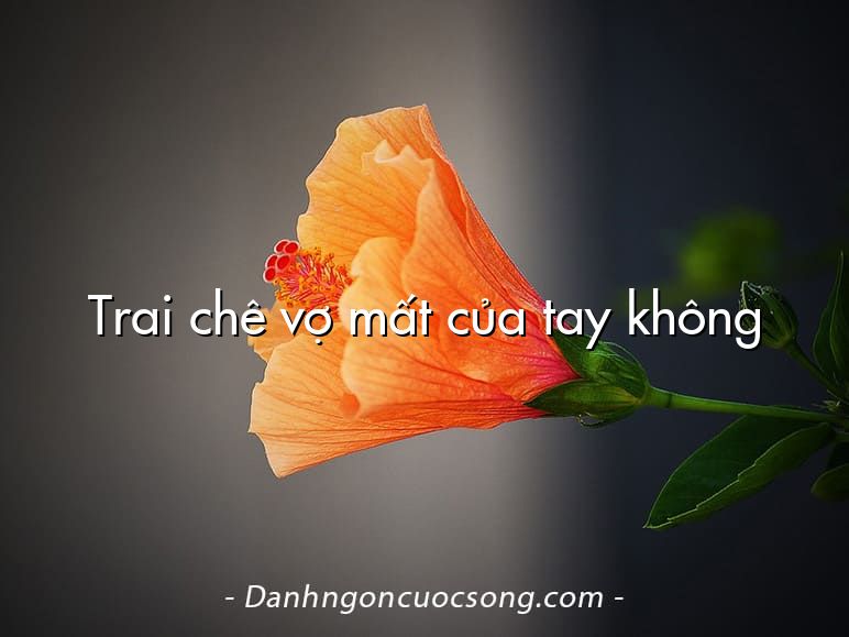 Trai chê vợ mất của tay không