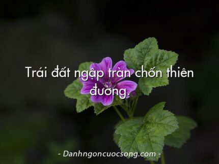 Trái đất ngập tràn chốn thiên đường.