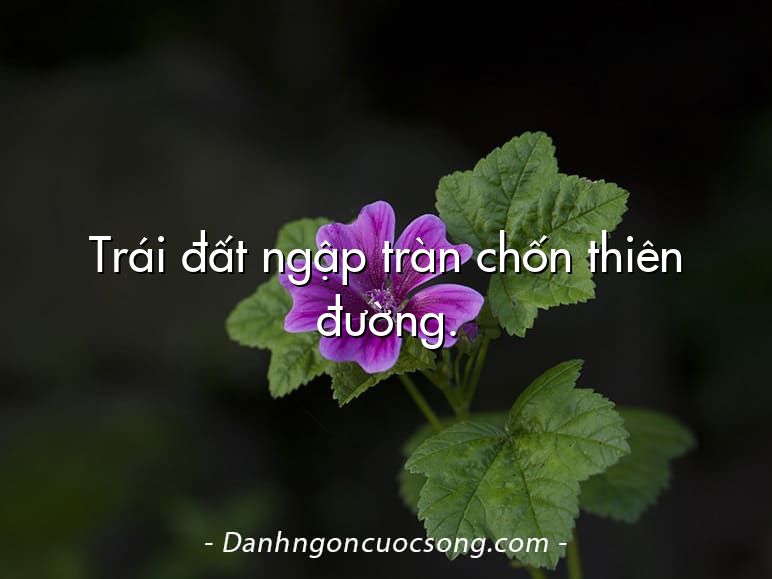 Trái đất ngập tràn chốn thiên đường.