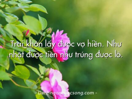 Trai khôn lấy được vợ hiền. Như nhặt được tiền như trúng được lô.