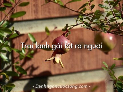 Trai lành gái tốt ra người
