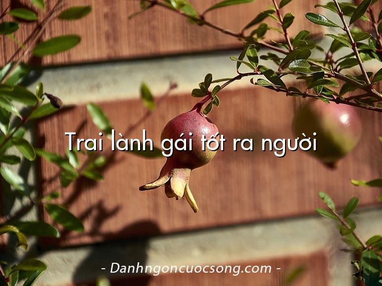 Trai lành gái tốt ra người